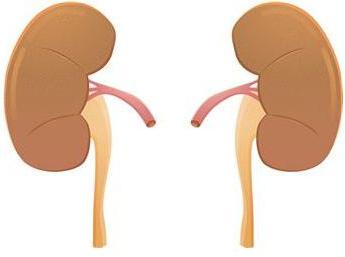 stage renal failure