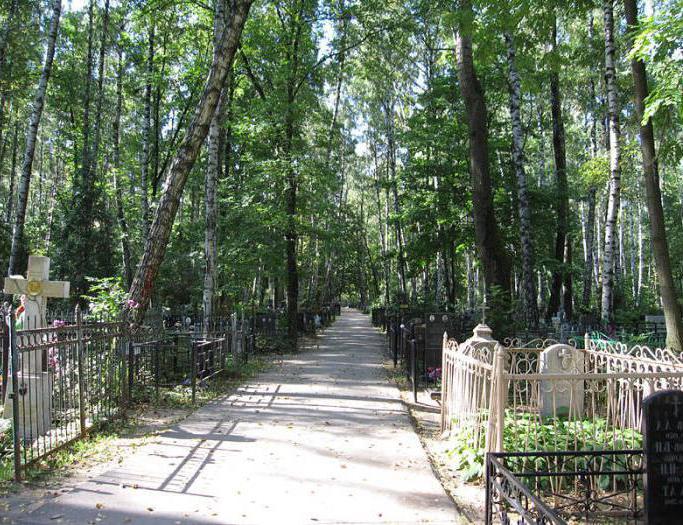 Babushkinskaya cemetery how to get