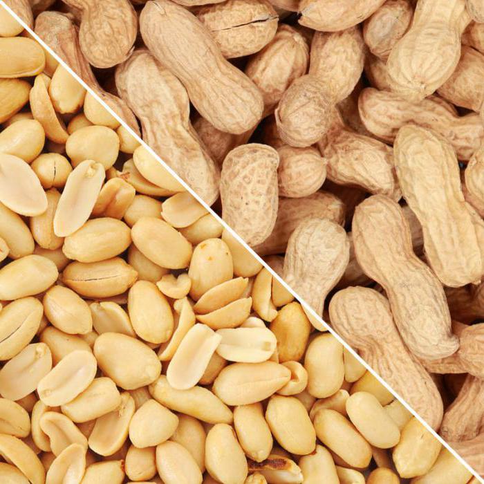 Peanut Chemische Zusammensetzung und Nährwert