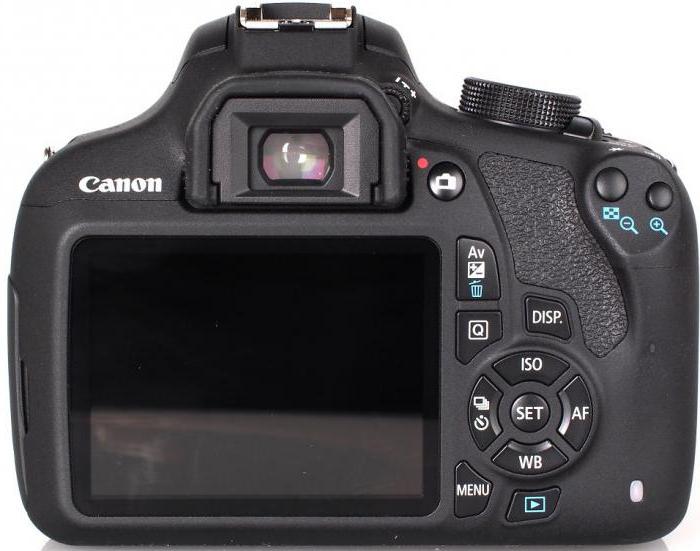 canon1200d审查专业人员