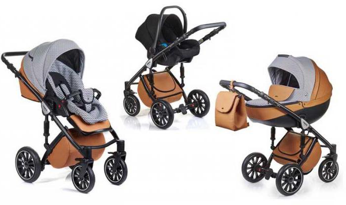 Universal stroller Sport Anex 3 in 1: owner reviews, features and ...