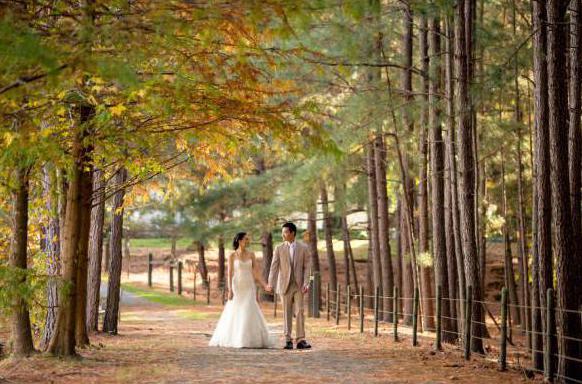 ポージングのための結婚式写真の撮影には秋