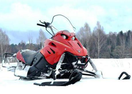 musher Snowmobiling