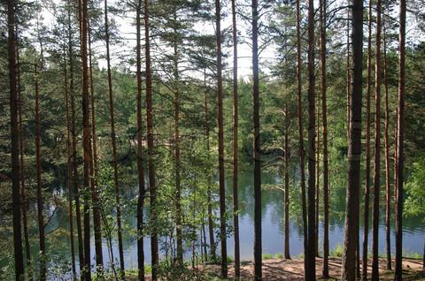 Urlaub auf den Seen der Region Leningrad