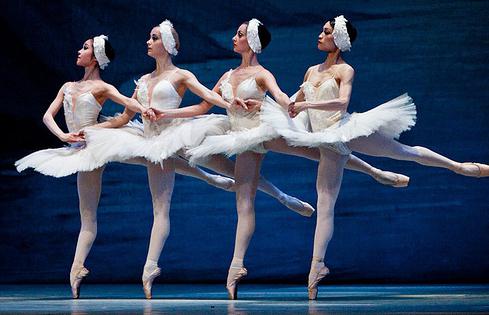 the story of Swan lake