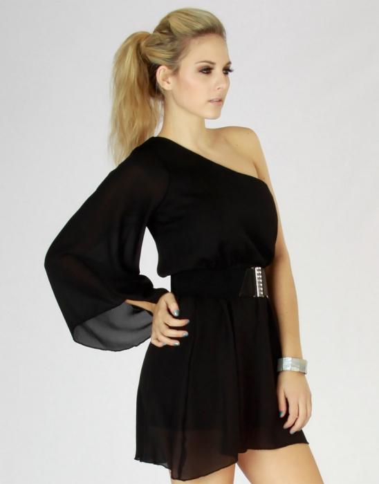 शैलियों शिफॉन की पोशाक 2013