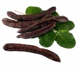 the carob is a useful properties