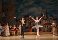 Pintura, o Teatro de ópera e ballet: quadro de avisos, história