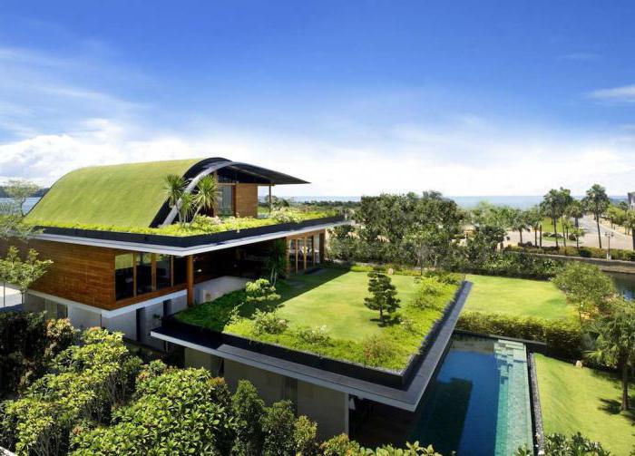 OOO Green roof