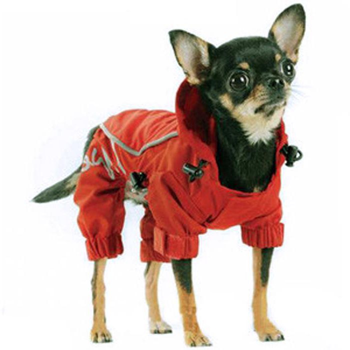 tricô padrão de roupas para cães de raças pequenas