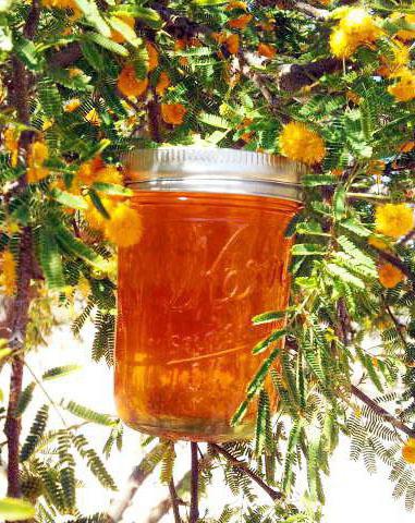 мед різнотрав'я корисні властивості