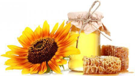 мед різнотрав'я корисні властивості і протипоказання