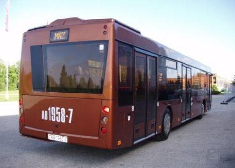 autobús maz 203