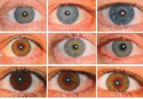 Augenfarbe der Eltern und des Kindes