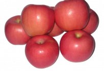Яблуня «фуджі». Як виглядає яблуня «фуджі»: опис сорту