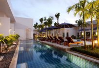 酒店的卡塔幸运的别墅游泳池卡塔泰国普吉岛：评论