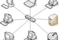 计算机网络：主要特征、分类和原则的组织
