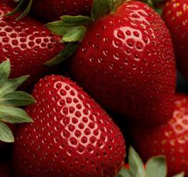 variety of strawberry Polka
