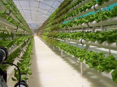 hydroponic systems