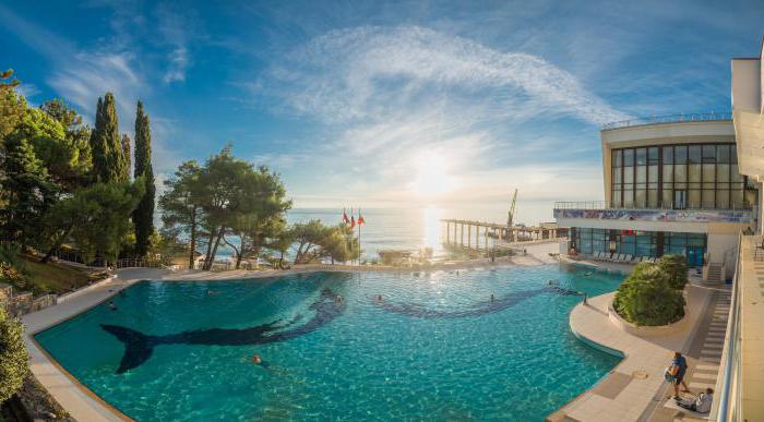 Hotels in Sochi on the shore with a swimming pool