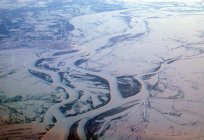 Qual é a rio vale a pena Novosibirsk? Qual o rio corre em Novosibirsk?