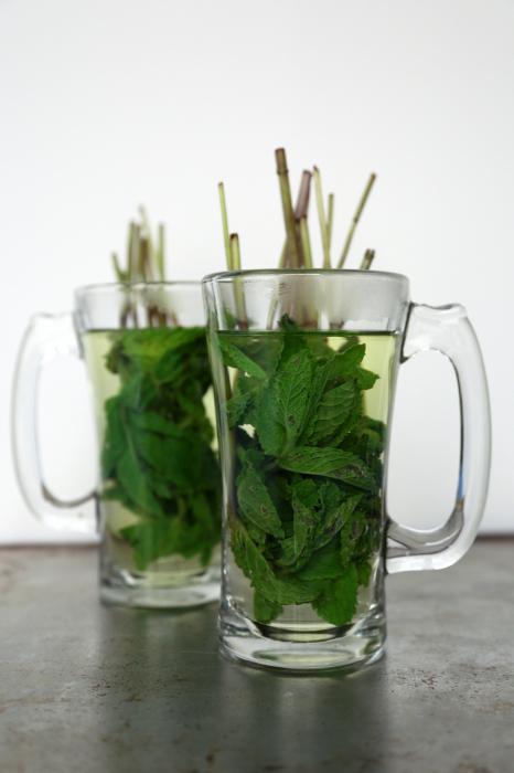mint tea useful properties and contraindications