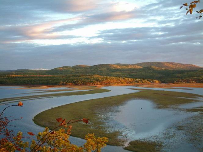 Amur river estuary