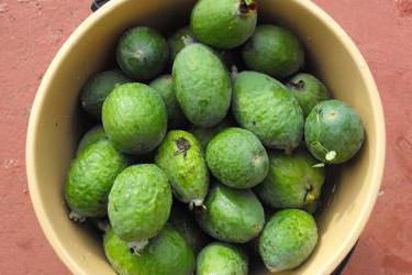 reçeli ananas guava yararlı özellikleri