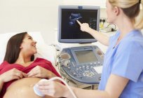 El médico de ultrasonido de diagnóstico: características del trabajo, las responsabilidades y los clientes