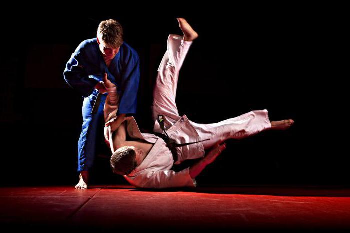 wie unterscheidet sich von Sambo judo