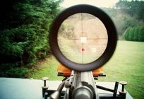 Shooting from an air rifle. The weapons, their characteristics