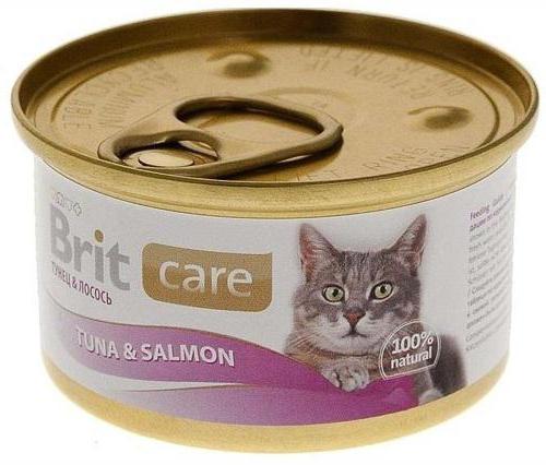 rating cat food dry wet canned