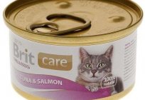 The rating of wet food for kittens from premium to holistic class