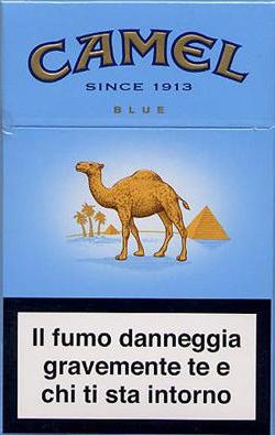 camel blue cigarettes
