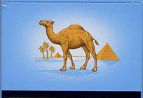 CAMEL - cigarette with a considerable history