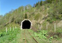 A tunnel to Sakhalin: a history of the secret construction