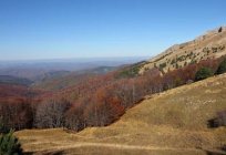 A reserva natural da Criméia: fronteira, comentários sobre excursões