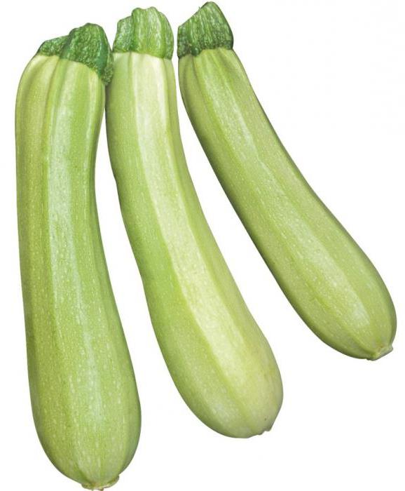 zucchini кавили