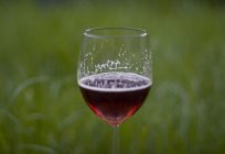 El vino de la терносливы: receta paso a paso