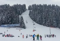 Borovets (منتجع التزلج بلغاريا): استعراض