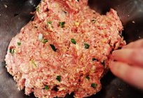 Кабачковые bolinhos com carne picada: características da preparação, as melhores receitas e opiniões