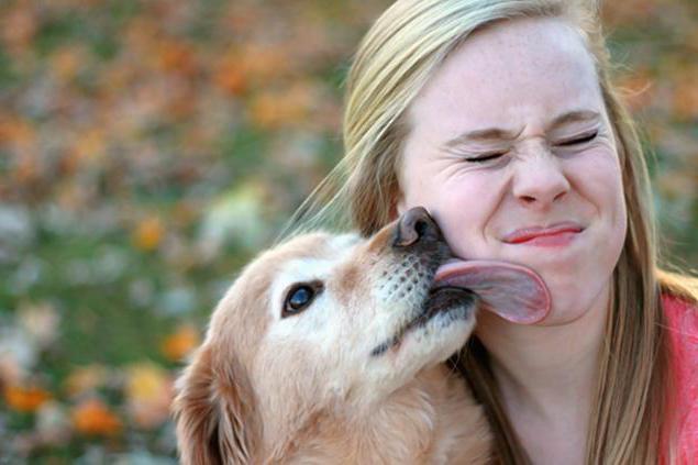 ¿después de cuánto tiempo se manifiesta la alergia al perro