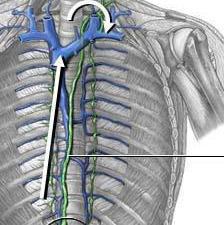 Ductus Thoracic Lymph