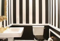 Preto-e-branco casa de banho: fotos, idéias, dicas