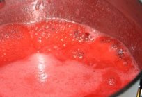 Протертая fresas con el azúcar: la receta de vida útil de golosinas en tres variantes