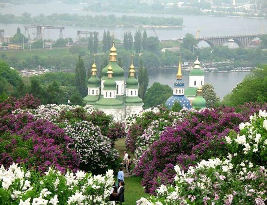 el jardín botánico de la dirección de kiev