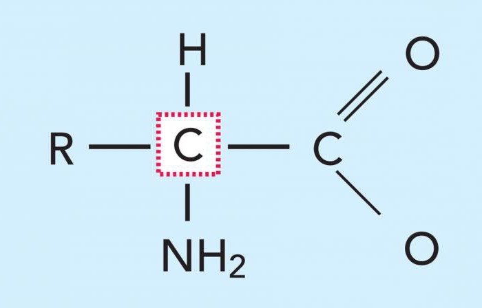 la casilla de la correspondencia entre el símbolo de un elemento químico
