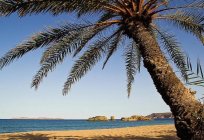 La isla de creta: las mejores playas y balnearios