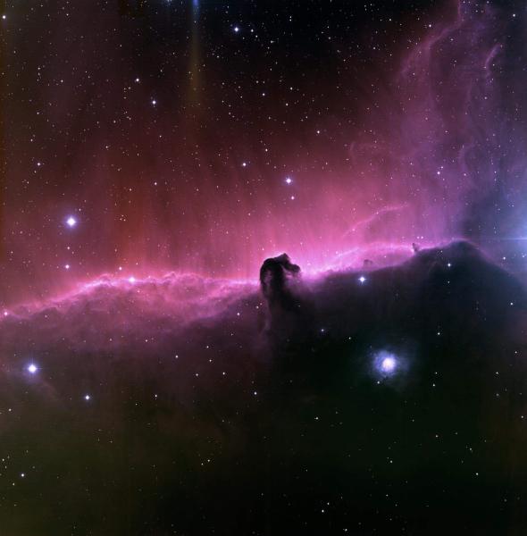 horse head nebula
