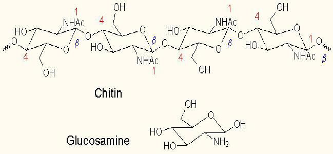 glucosamine max analogues